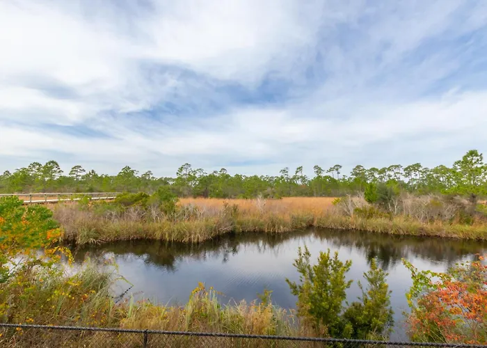 Beach Village By Liquid Life Hotel Gulf Shores